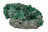 Fluorescent Green Fluorite Cluster - Rogerley Mine, England #173994-2